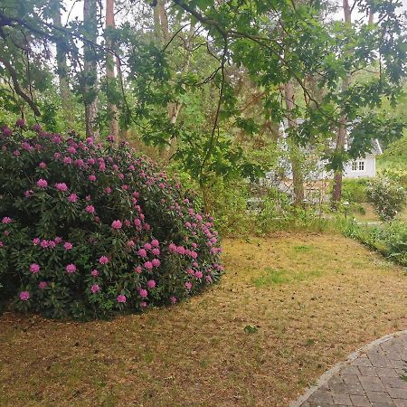 Fahrradpension Am Weg Nach Kopenhagen Фюрстенберг Экстерьер фото